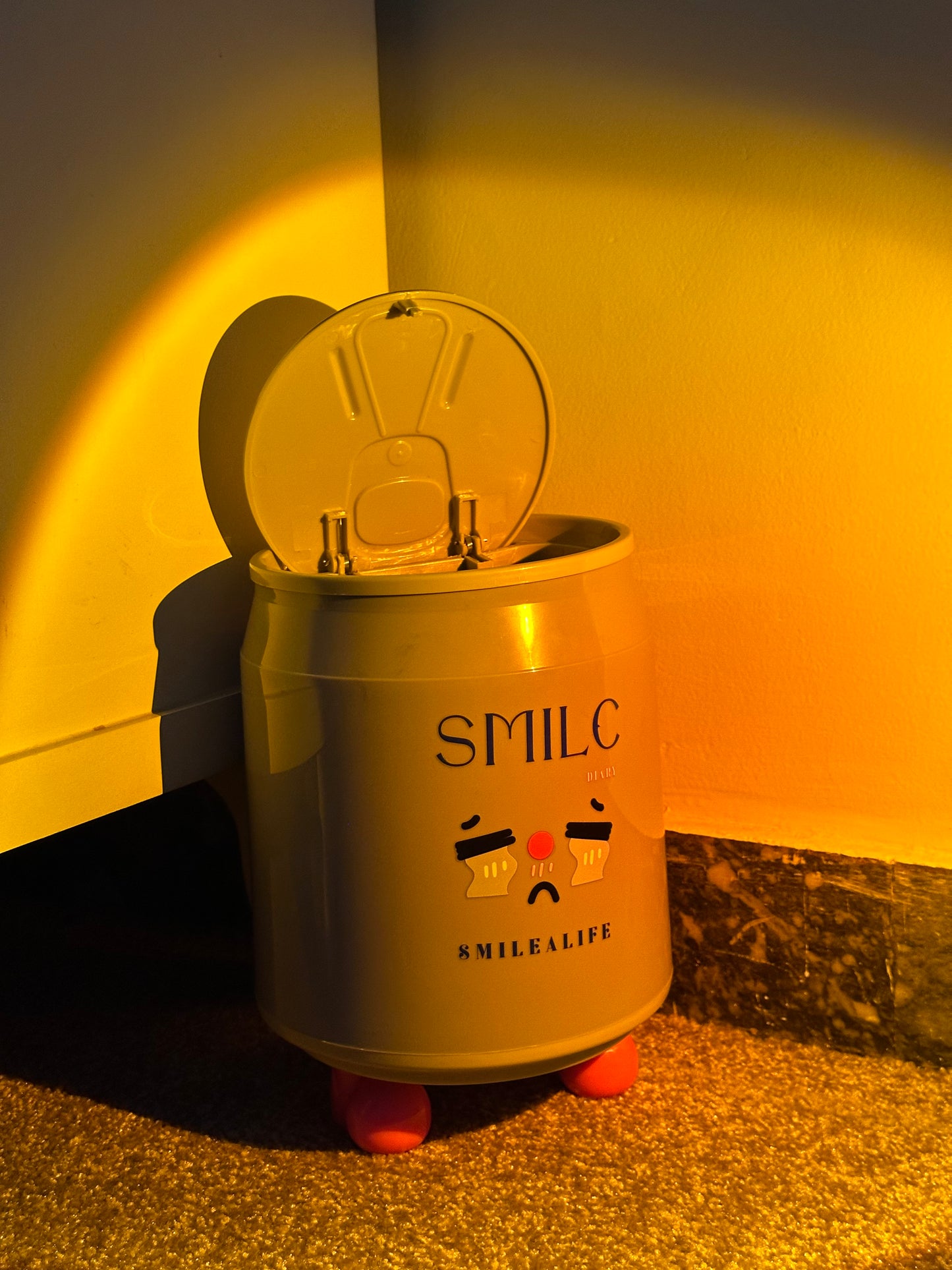 CUTE STORAGE BOX